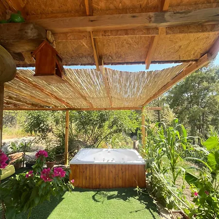 Olympos Ceratonia Dag Evi Chalet Kumluca