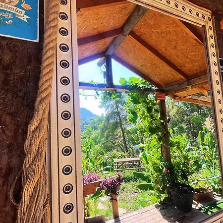 Olympos Ceratonia Dag Evi Chalet