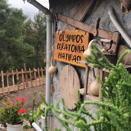 Σαλέ Olympos Ceratonia Dag Evi Kumluca