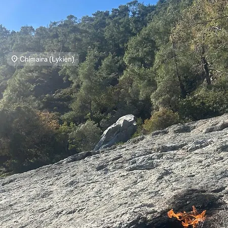 Olympos Ceratonia Dag Evi Kumluca