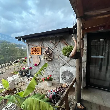 Olympos Ceratonia Dag Evi * Kumluca
