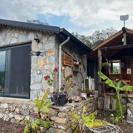 Olympos Ceratonia Dag Evi Chalet Kumluca